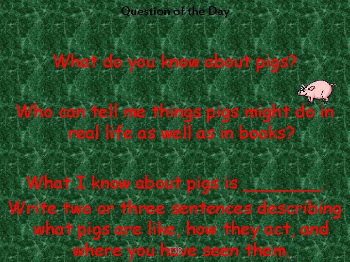 Question of the Day What do you know about pigs? Who can tell me