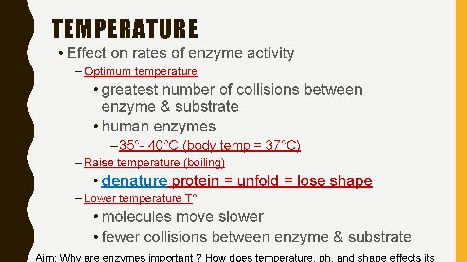 TEMPERATURE • Effect on rates of enzyme activity – Optimum temperature • greatest number