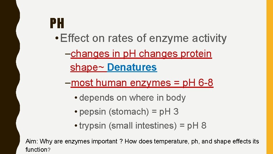 PH • Effect on rates of enzyme activity –changes in p. H changes protein