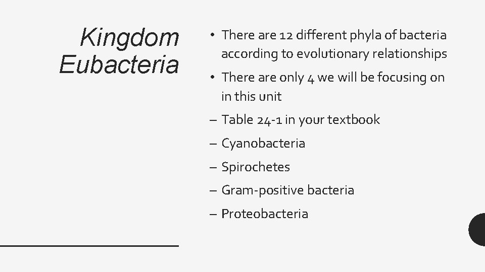 Kingdom Eubacteria • There are 12 different phyla of bacteria according to evolutionary relationships