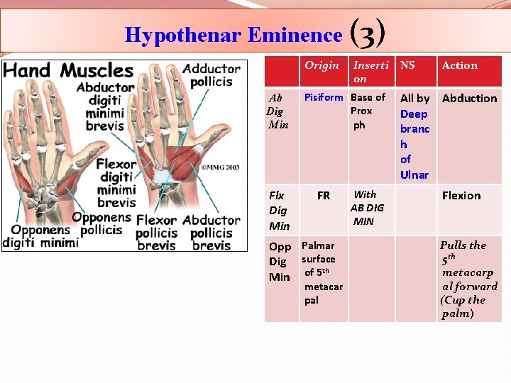 Hypothenar Eminence (3) Origin Ab Dig Min Flx Dig Min Inserti NS on Pisiform