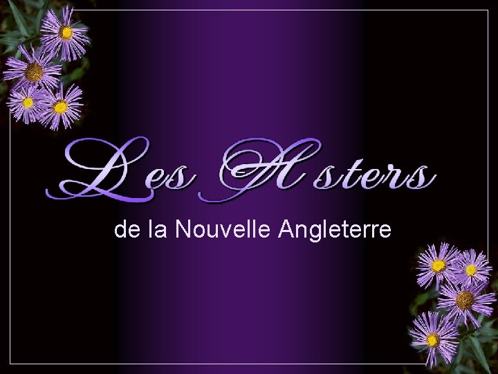 de la Nouvelle Angleterre 