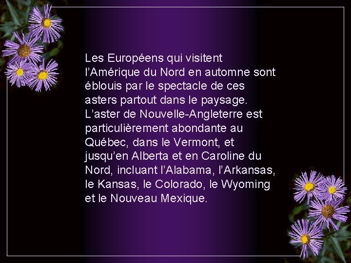 Les Européens qui visitent l’Amérique du Nord en automne sont éblouis par le spectacle