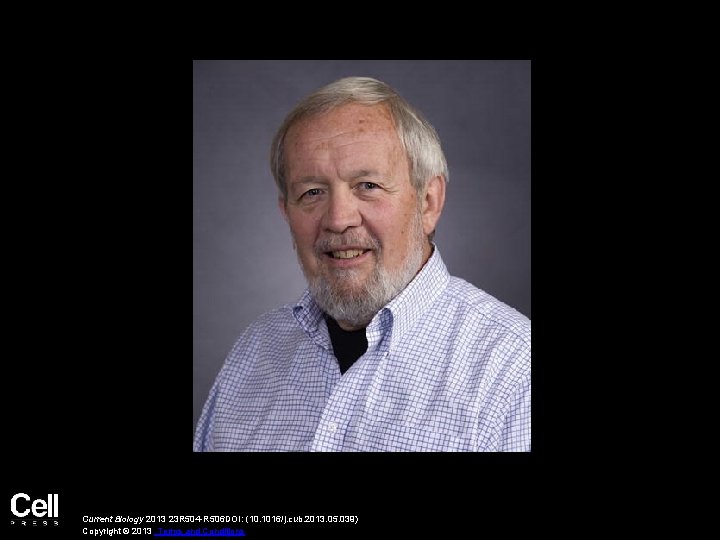 Current Biology 2013 23 R 504 -R 506 DOI: (10. 1016/j. cub. 2013. 05.