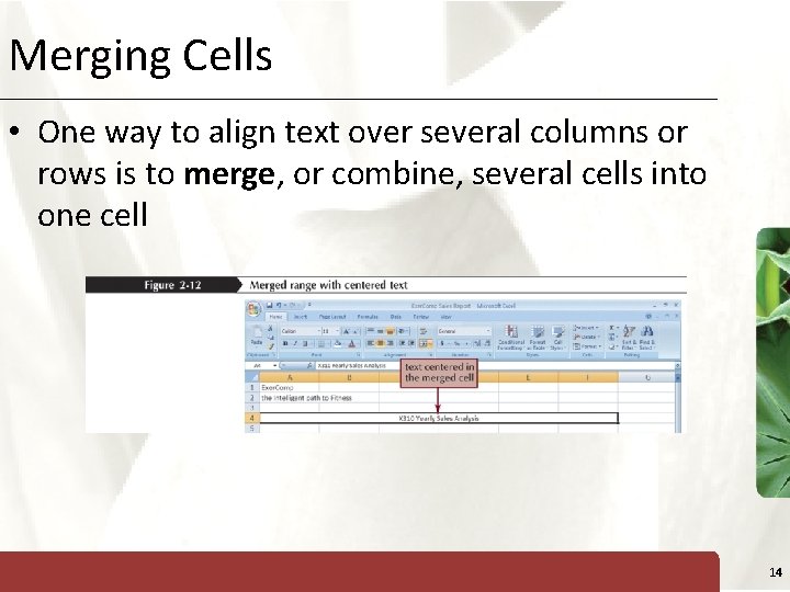 Merging Cells XP • One way to align text over several columns or rows
