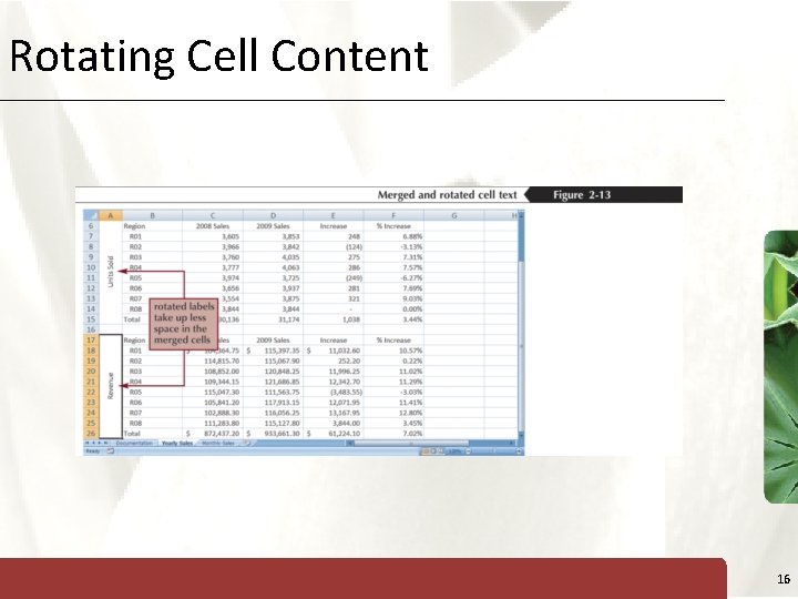 Rotating Cell Content XP 16 