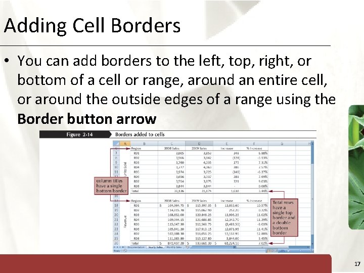 Adding Cell Borders XP • You can add borders to the left, top, right,