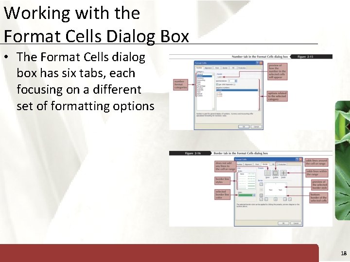 Working with the Format Cells Dialog Box XP • The Format Cells dialog box