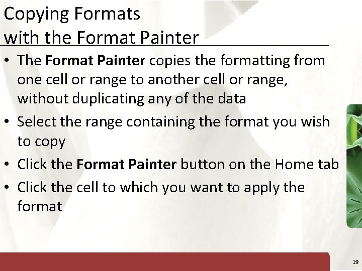 Copying Formats with the Format Painter XP • The Format Painter copies the formatting