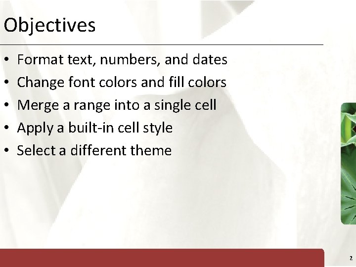 Objectives • • • XP Format text, numbers, and dates Change font colors and