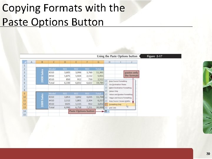 Copying Formats with the Paste Options Button XP 20 