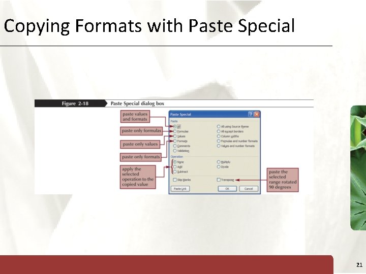 Copying Formats with Paste Special XP 21 