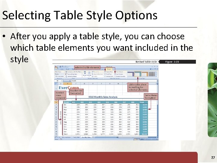 Selecting Table Style Options XP • After you apply a table style, you can