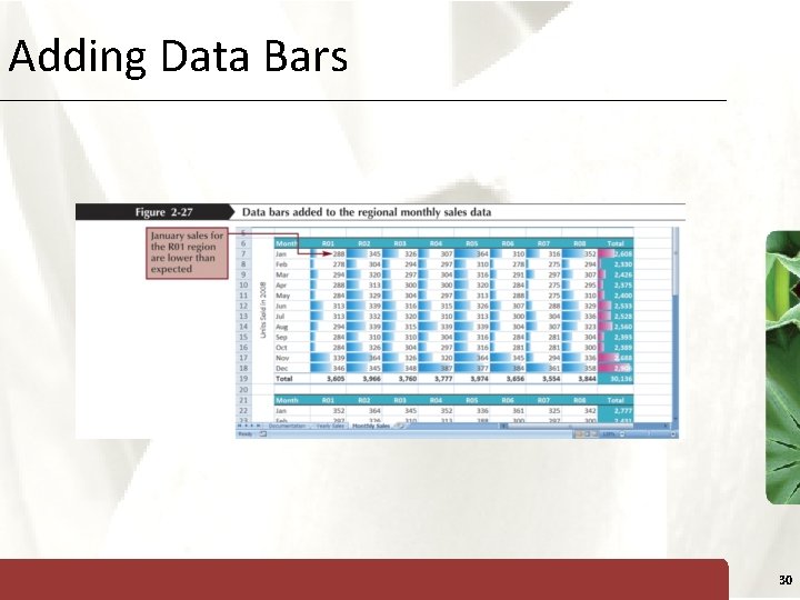Adding Data Bars XP 30 