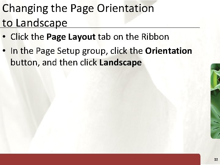 Changing the Page Orientation to Landscape XP • Click the Page Layout tab on