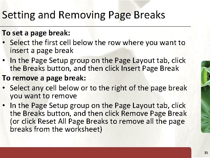Setting and Removing Page Breaks XP To set a page break: • Select the
