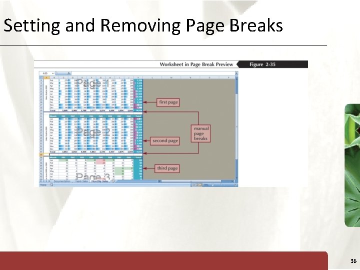Setting and Removing Page Breaks XP 36 
