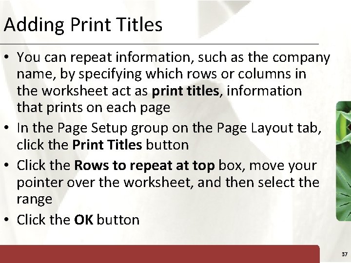 Adding Print Titles XP • You can repeat information, such as the company name,