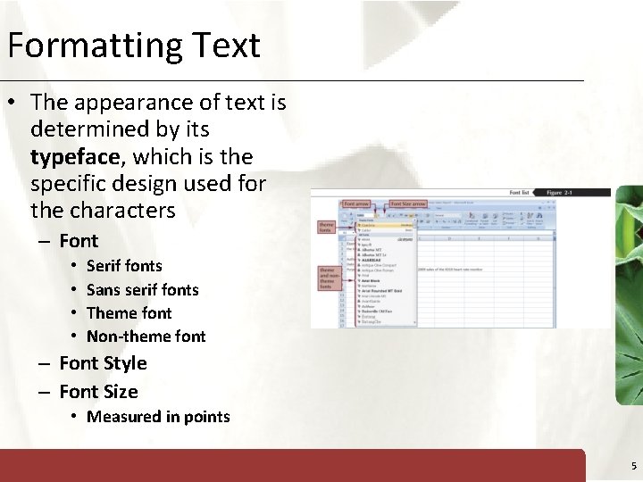 Formatting Text XP • The appearance of text is determined by its typeface, which