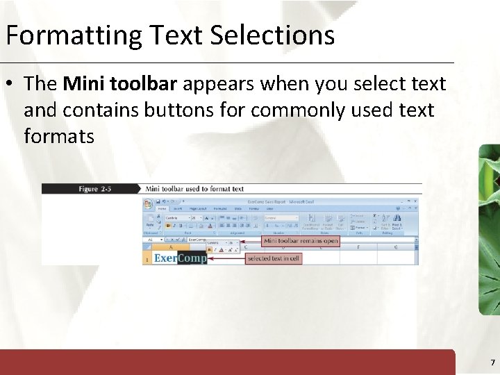 Formatting Text Selections XP • The Mini toolbar appears when you select text and