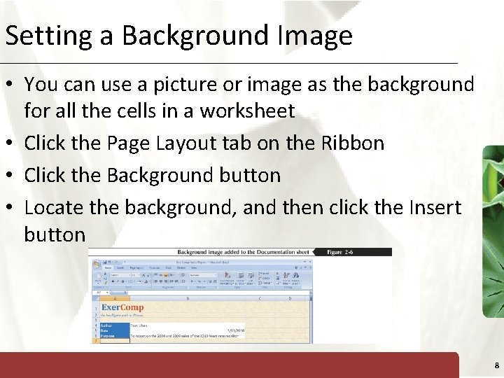 Setting a Background Image XP • You can use a picture or image as