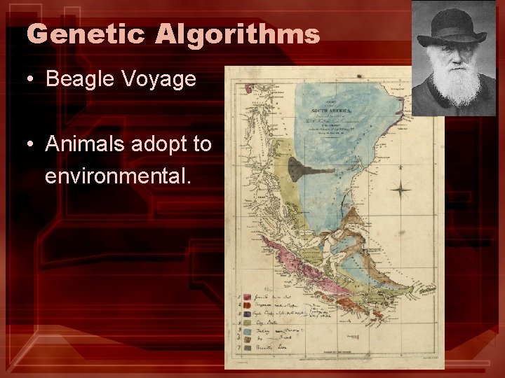 Genetic Algorithms • Beagle Voyage • Animals adopt to environmental. Genetic Algorithms • Beagle Voyage • Animals adopt to environmental.