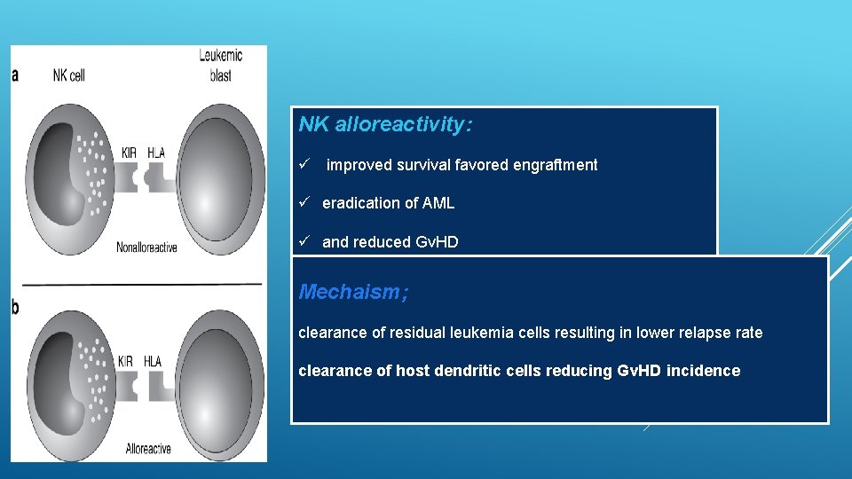 NK alloreactivity: ü improved survival favored engraftment ü eradication of AML ü and reduced