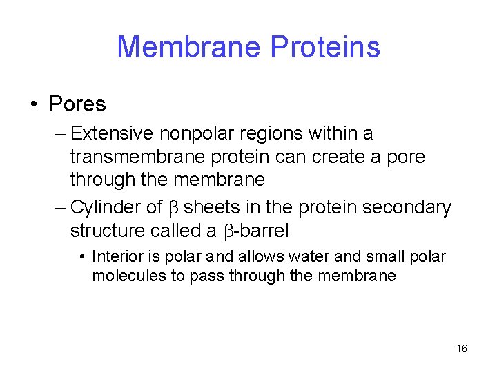 Membrane Proteins • Pores – Extensive nonpolar regions within a transmembrane protein can create