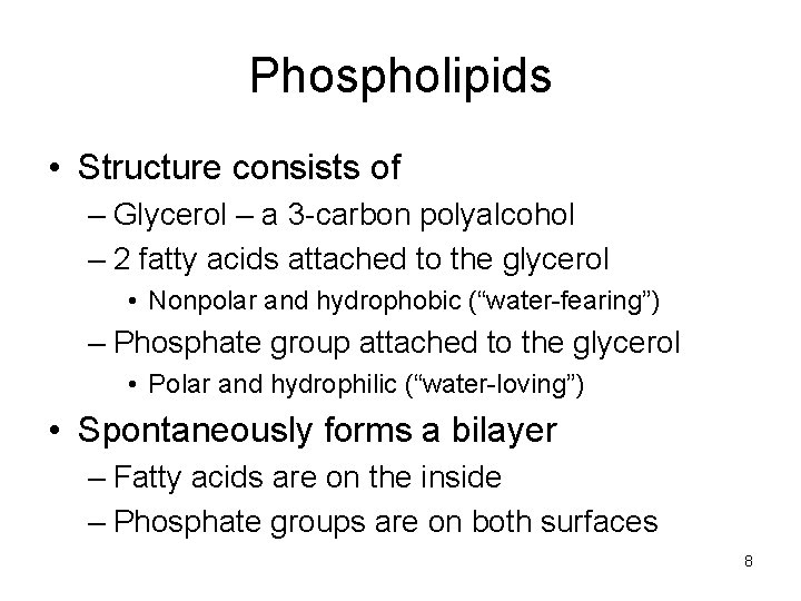 Phospholipids • Structure consists of – Glycerol – a 3 -carbon polyalcohol – 2