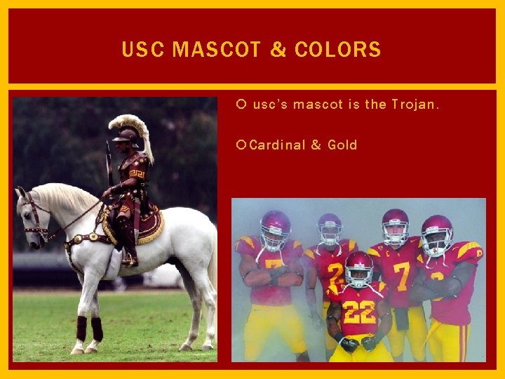 USC MASCOT & COLORS usc’s mascot is the Trojan. Cardinal & Gold 