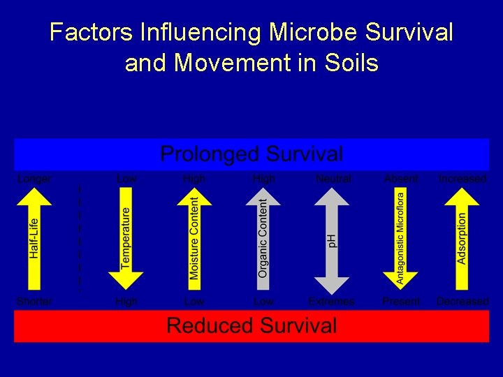 Factors Influencing Microbe Survival and Movement in Soils 