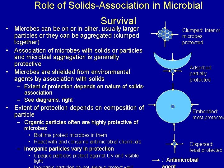 Role of Solids-Association in Microbial Survival • Microbes can be on or in other,