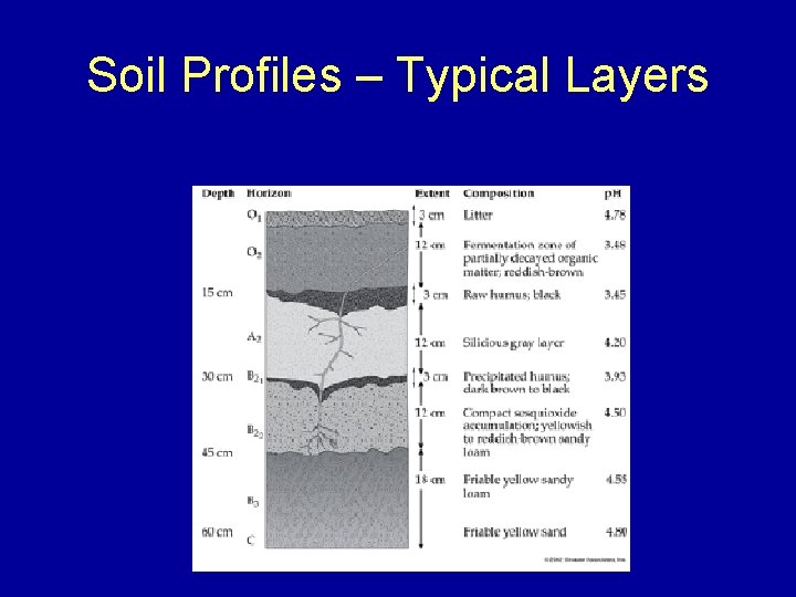 Soil Profiles – Typical Layers 