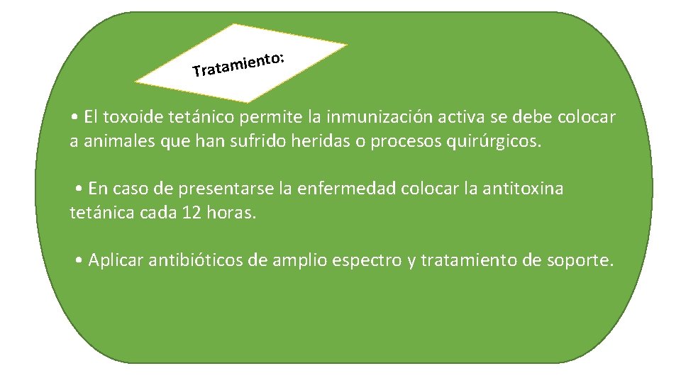 : o t n e i Tratam • El toxoide tetánico permite la inmunización