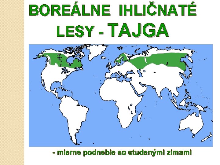 BOREÁLNE IHLIČNATÉ LESY - TAJGA - mierne podnebie so studenými zimami 