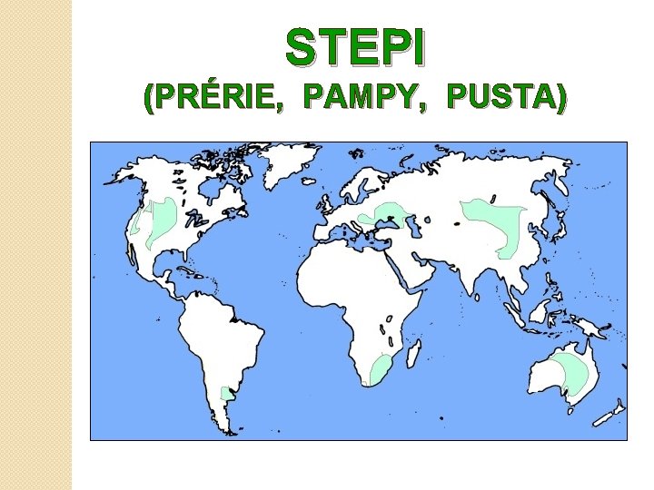 STEPI (PRÉRIE, PAMPY, PUSTA) 
