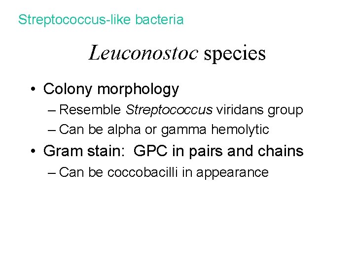 Streptococcus-like bacteria Leuconostoc species • Colony morphology – Resemble Streptococcus viridans group – Can