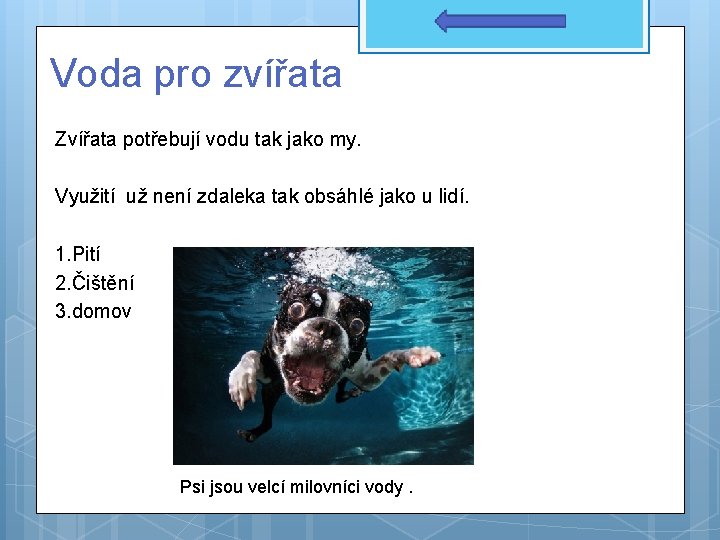 Voda pro zvířata Zvířata potřebují vodu tak jako my. Využití už není zdaleka tak