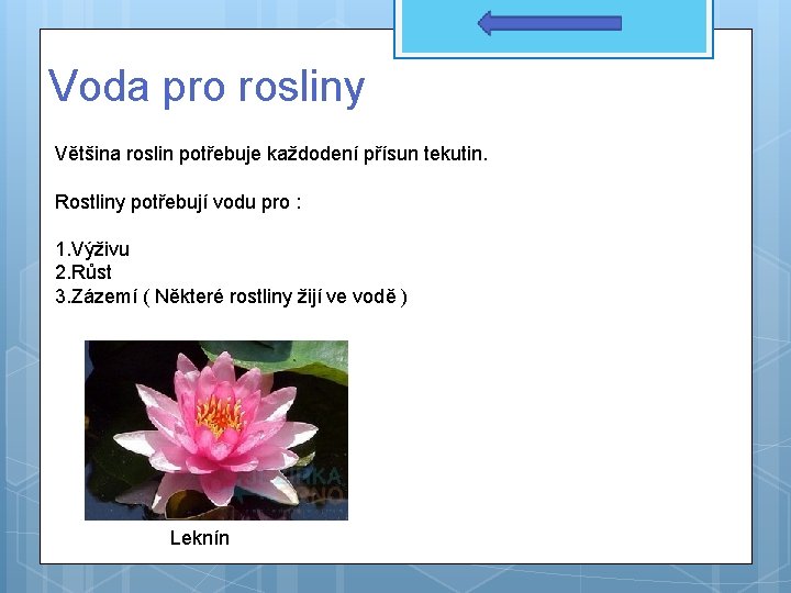 Voda pro rosliny Většina roslin potřebuje každodení přísun tekutin. Rostliny potřebují vodu pro :