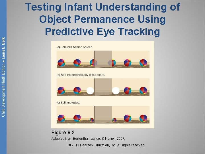 Child Development Ninth Edition ● Laura E. Berk Testing Infant Understanding of Object Permanence