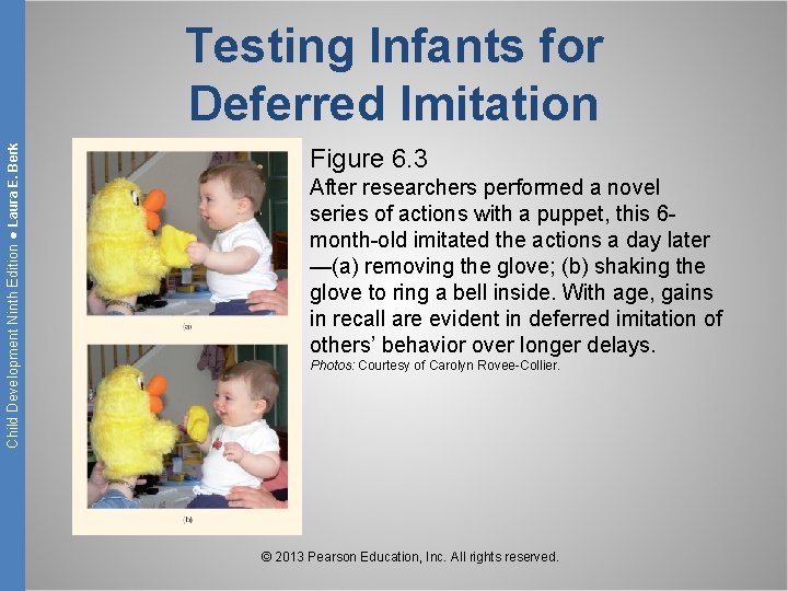 Child Development Ninth Edition ● Laura E. Berk Testing Infants for Deferred Imitation Figure