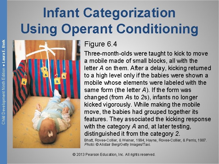 Child Development Ninth Edition ● Laura E. Berk Infant Categorization Using Operant Conditioning Figure
