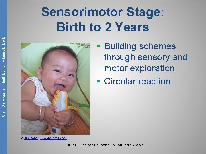 Child Development Ninth Edition ● Laura E. Berk Sensorimotor Stage: Birth to 2 Years