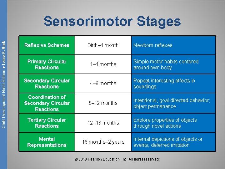 Child Development Ninth Edition ● Laura E. Berk Sensorimotor Stages Reflexive Schemes Birth– 1