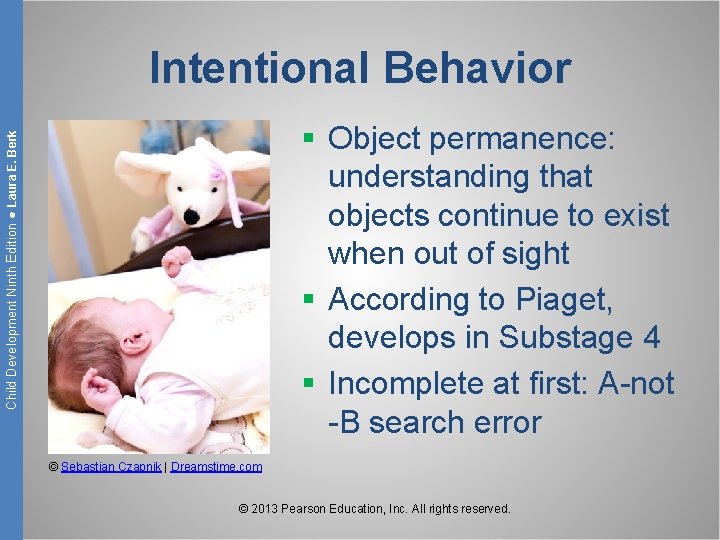 Intentional Behavior Child Development Ninth Edition ● Laura E. Berk § Object permanence: understanding