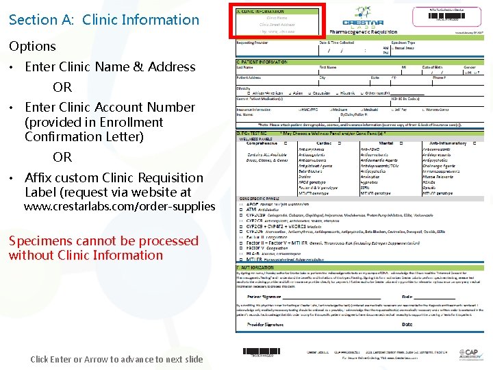 Section A: Clinic Information Options • Enter Clinic Name & Address OR • Enter