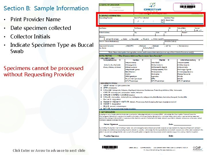 Section B: Sample Information • Print Provider Name • Date specimen collected • Collector