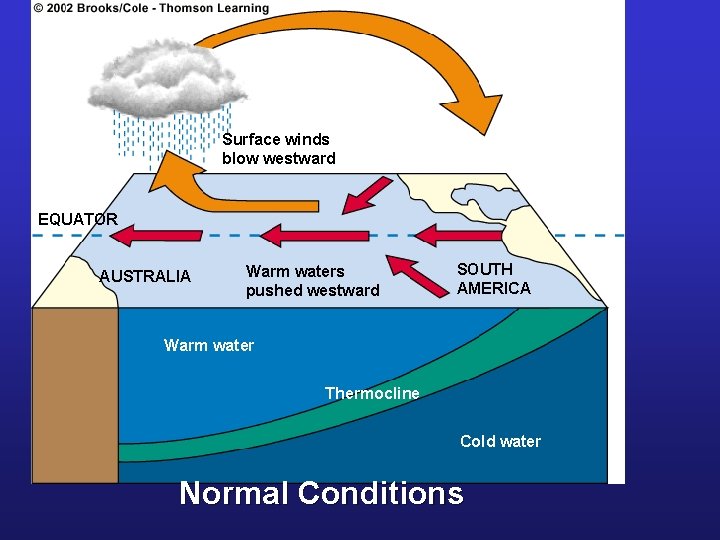 Surface winds blow westward EQUATOR AUSTRALIA Warm waters pushed westward SOUTH AMERICA Warm water