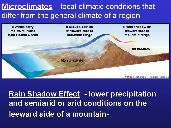 Microclimates – local climatic conditions that differ from the general climate of a region