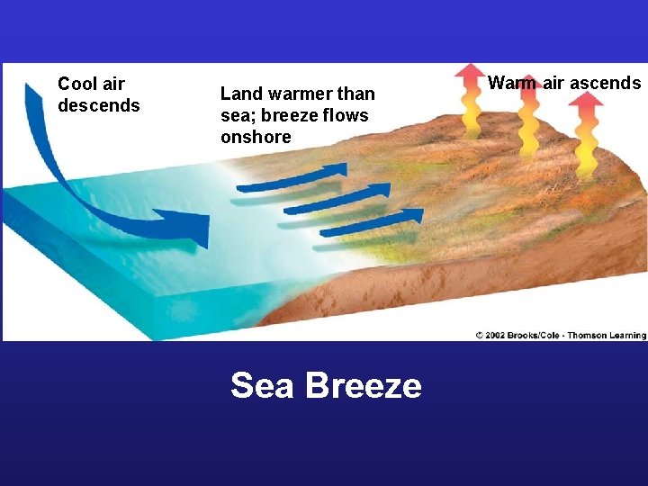 Cool air descends Land warmer than sea; breeze flows onshore Sea Breeze Warm air